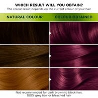 Garnier Nutrisse Ultra Color Permanent Hair Dye Violet 4.26