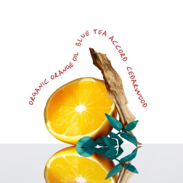 Calvin Klein CK EVERYONE Unisex Eau de Toilette 100ml