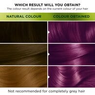 Garnier Nutrisse Permanent Hair Dye 5.21 Intense Lilac
