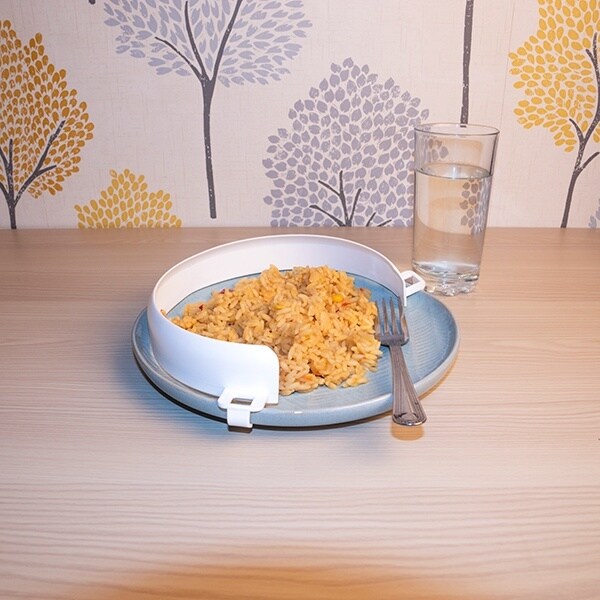 PLASTIC PLATE GUARD