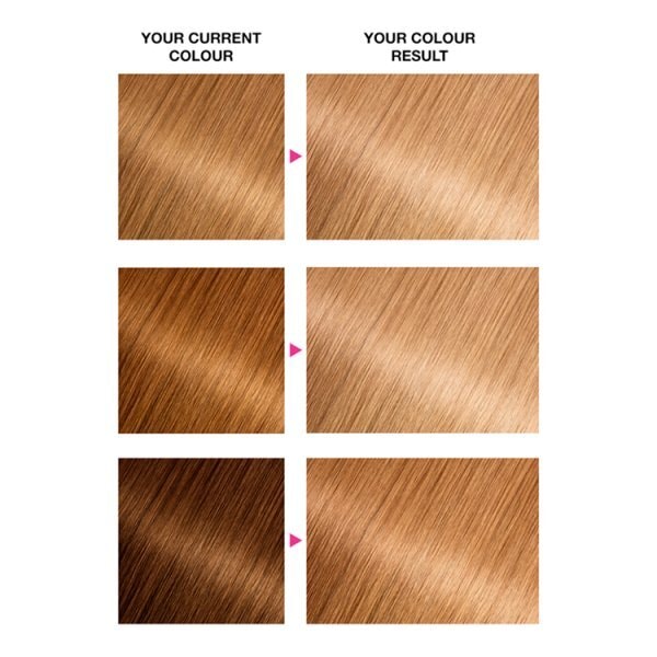 Garnier Olia 8.31 Golden Ash Blonde Permanent Hair Dye