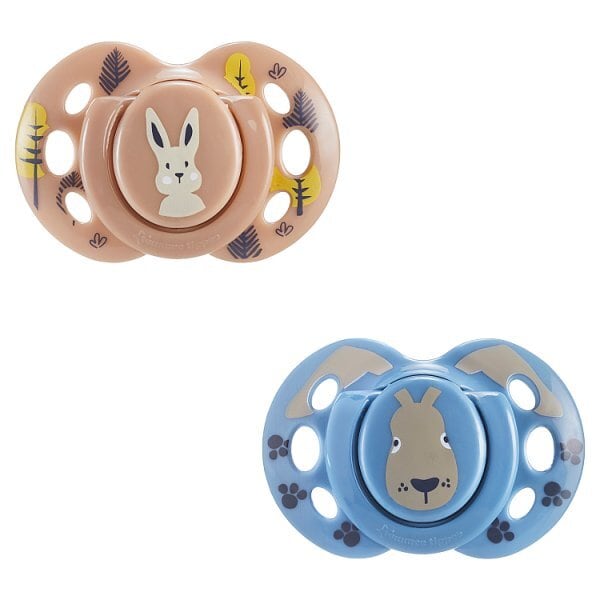 Tommee Tippee CTN Fun Soother 18-36 months