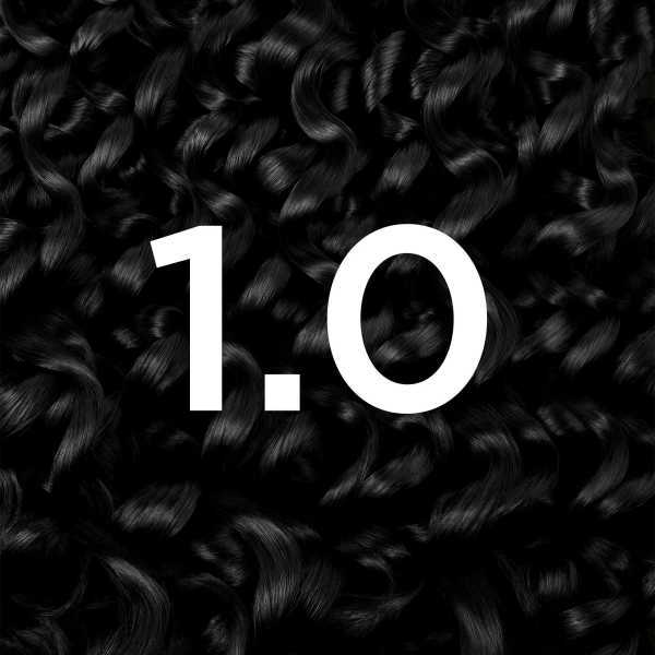 Garnier Olia 1.0 Deep Black Permanent Hair Dye