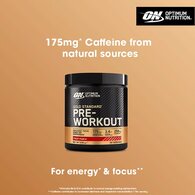 Optimum Nutrition Fruit Punch Gold Standard Pre-Workout 330g