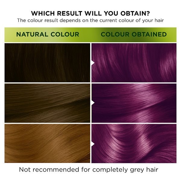 Garnier Nutrisse Ultra Color 5.21 Intense Lilac Permanent Hair Colour
