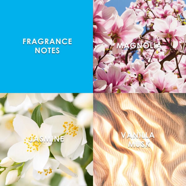 Britney Spears Curious Eau De Parfum 100Ml Limited Edition