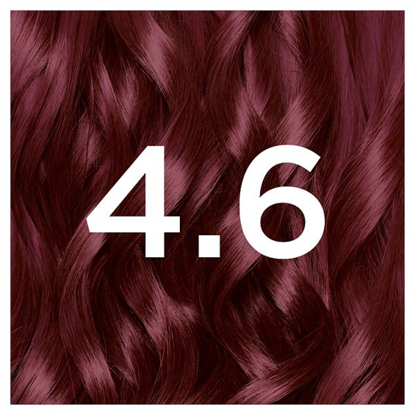 Garnier Nutrisse 4.6 Deep Red Permanent Hair Dye