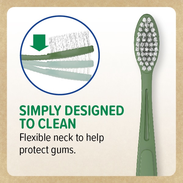 DNR Wisdom re:new Clean Medium Toothbrush Twin Pack