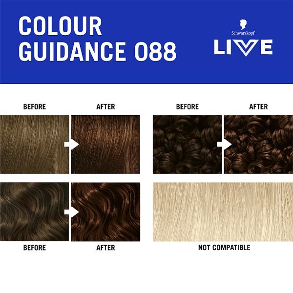 Schwarzkopf Live 088 Urban Brown Permanent Hair Dye