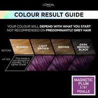 Preference Vivids (Colorista) Hair Dye Magnetic Plum 3.16