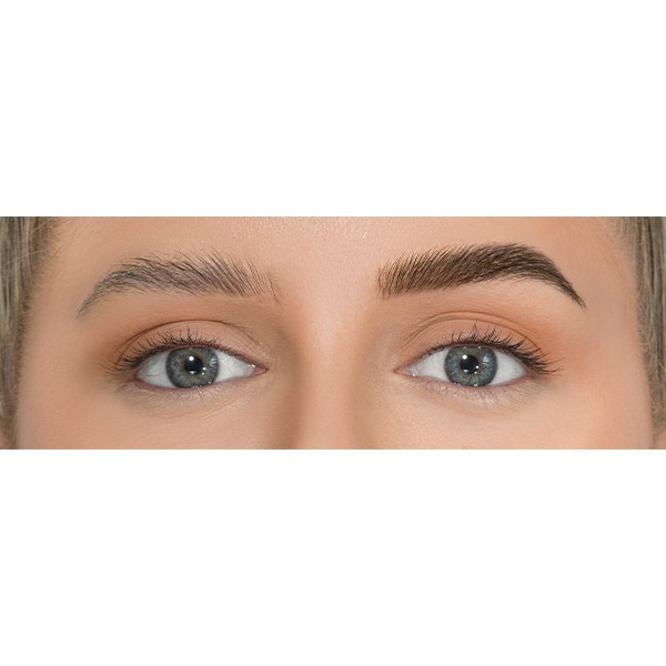 Eylure Dybrow Jumbo Kit