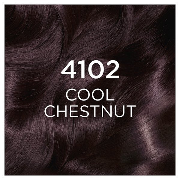 L'Oréal Casting Crème Gloss 4102 Cool Chestnut Hair Dye