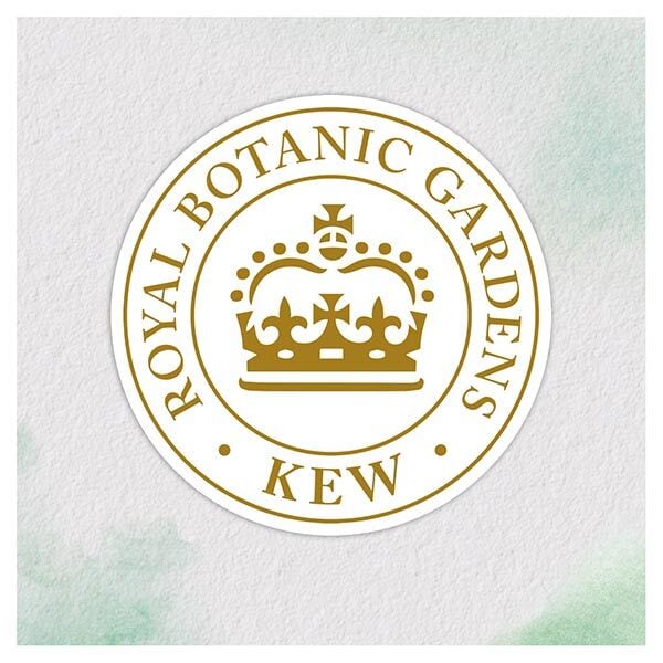 Herbal Essences bio:renew Hair Mask Coconut Milk 250ml