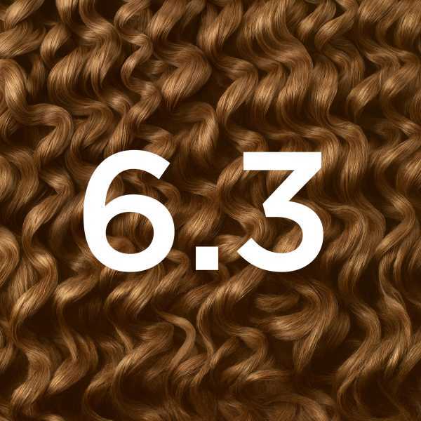 Garnier Olia 6.3 Golden Light Brown Permanent Hair Dye
