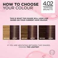 Excellence Creme 4.02 Tempting Brunette Hair Dye