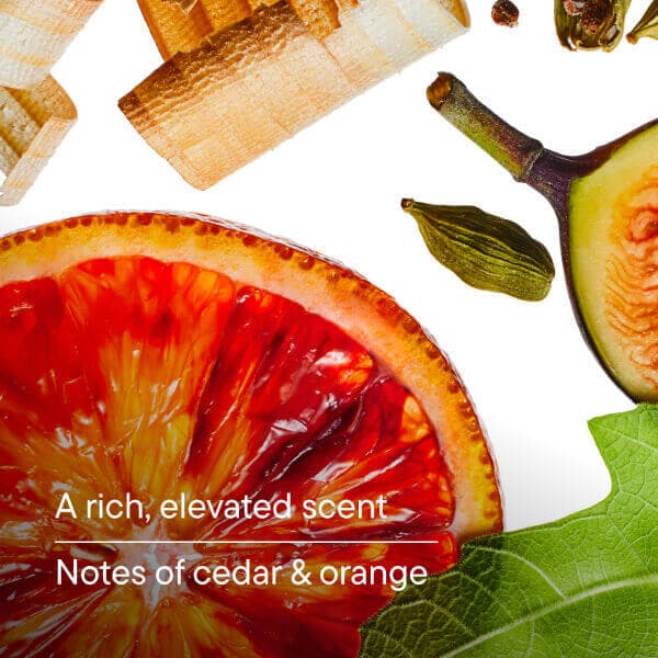 Harry's Body Wash - Fig 532ml