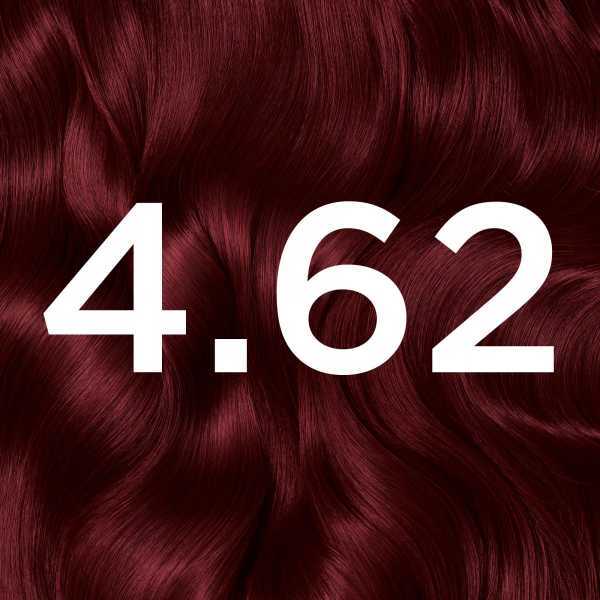 Garnier Olia 4.62 Dark Garnet Red Permanent Hair Dye