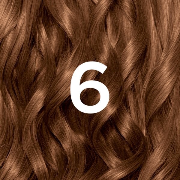 Garnier Nutrisse Permanent Hair Dye Light Brown 6