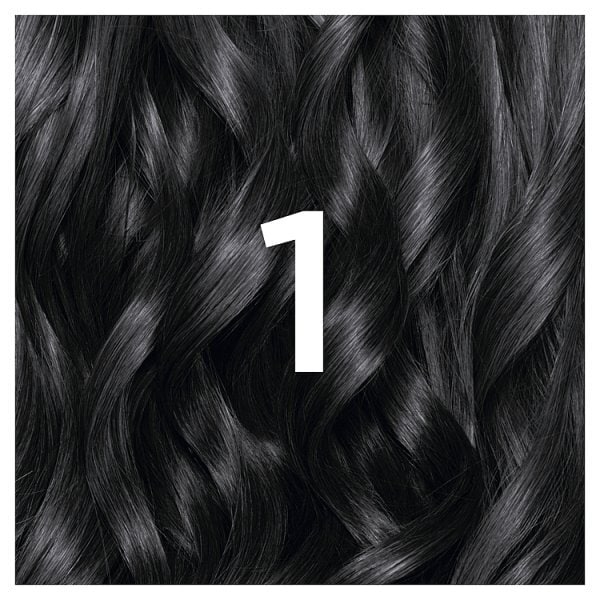 Garnier Nutrisse 1 Black Permanent Hair Dye