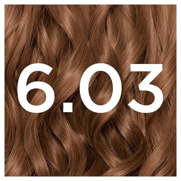 Garnier Nutrisse 4.13 Creme Brown Permanent Hair Dye