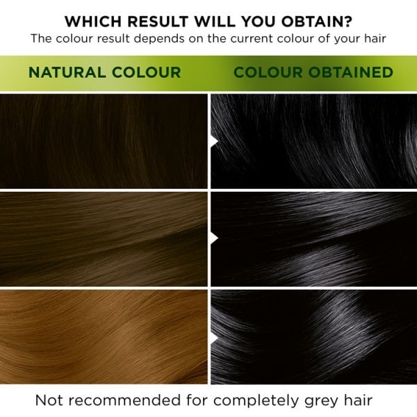 Garnier Nutrisse Permanent Hair Dye 1.1 Infinite Black