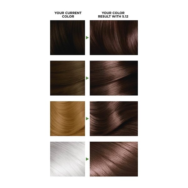 Garnier Nutrisse 5.12 Glacial Brown Permanent Hair Dye