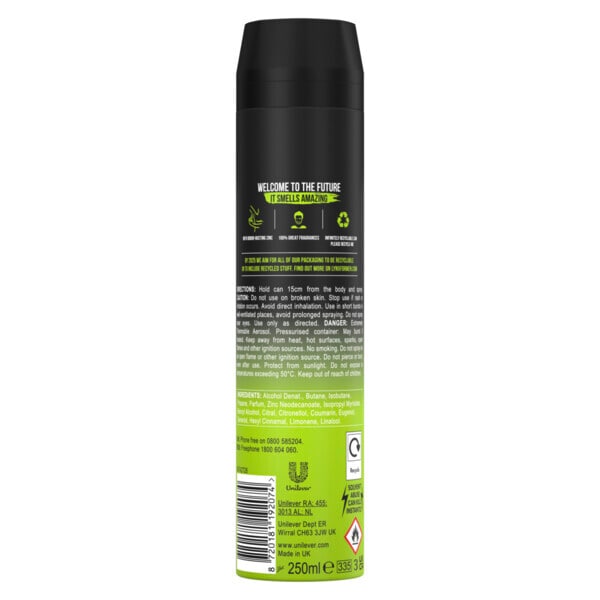 Lynx Deodorant Bodyspray Aerosol Epic Fresh 250ml