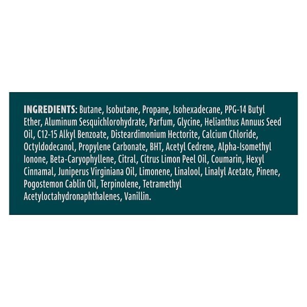Sure Men Nonstop Protection Quantum Dry Anti-Perspirant Aerosol 250 ml