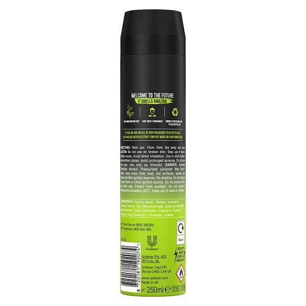 Lynx Deodorant Bodyspray Aerosol Epic Fresh 250ml