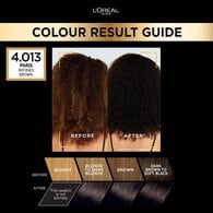 Preference Infinia 4.01 Paris Natural Dark Brown Hair Dye