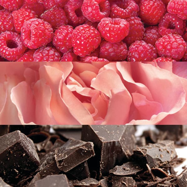 Calvin Klein Euphoria Blush Eau de Parfum 100ml