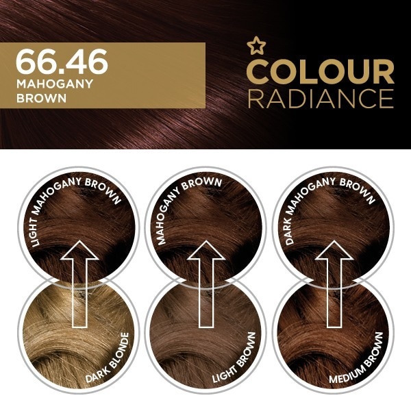 Superdrug Colour Radiance 66.46 Mahogany