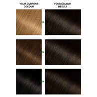 Garnier Nutrisse Permanent Hair Dye Darkest Brown 3