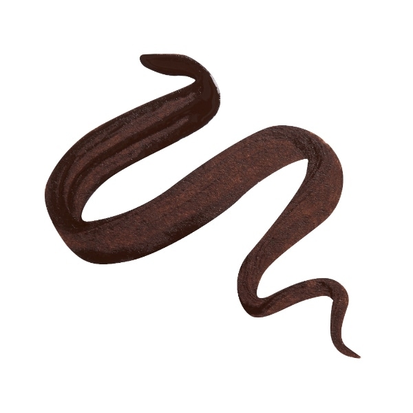 Revolution Master Flick Dip Liquid Eyeliner Mocha Brown