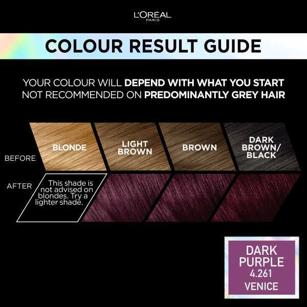 Preference Vivids (Colorista) Hair Dye Rose Dark Purple 4.26