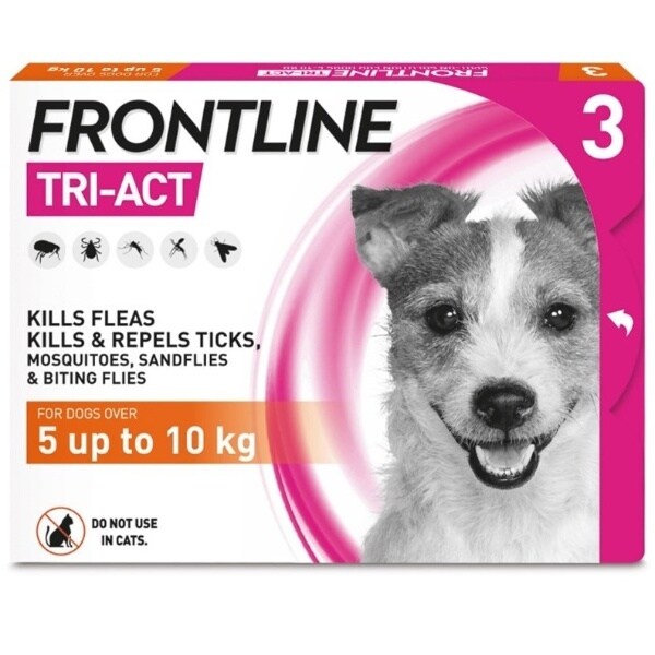 Frontline for cats store superdrug