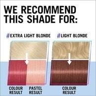 Live Colour Ultra Bright 025 Dusty Rose