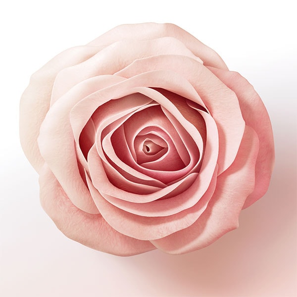 Pantene Hair Multiplier Hair Treatment Biotin Leave-In 100ml