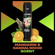 Lynx Deodorant Bodyspray Aerosol Africa 250ml