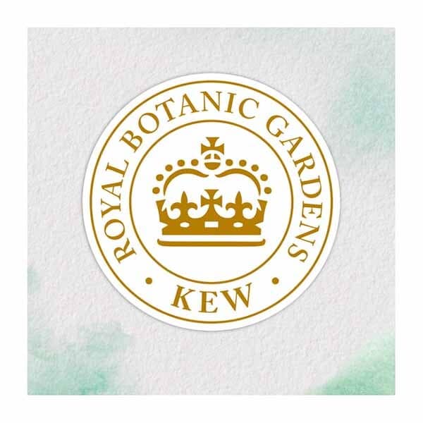 Herbal Essences Bio:Renew Argan Oil Hair Conditioner 100ml