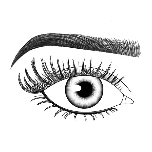 Lash Fx Press & Go - St Tropez: Wispy & Long With Black Glue