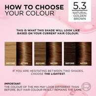 Excellence Creme 5.3 Golden Brown Hair Dye