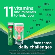 Berocca Mixed Berries Sugar Free Effervescent 15 Tablets