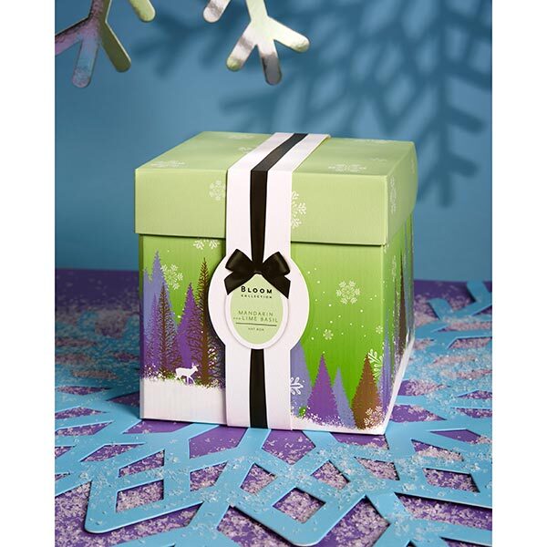 DNR Superdrug Bloom Mandarin & Lime Basil Hat Box