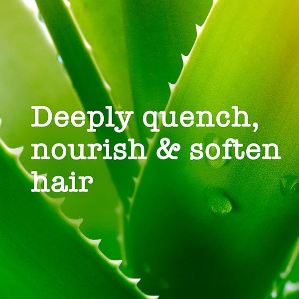 Maui Moisture Revive & Hydrate+ Shea Butter Hair Mask 340g