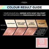 Preference Vivids (Colorista) Hair Dye Rose Gold 9.214