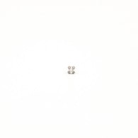 Studex Stainless Steel 2mm CZ Earrings