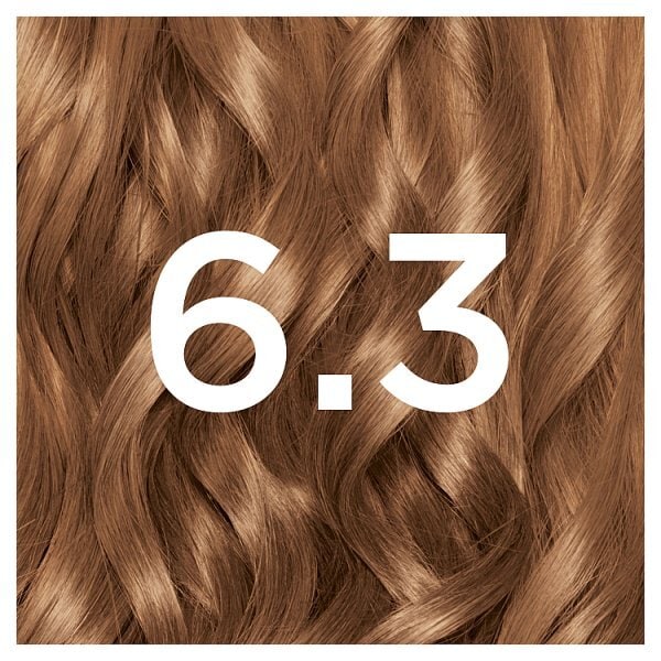 Garnier Nutrisse 6.3 Golden Light Brown Permanent Hair Dye