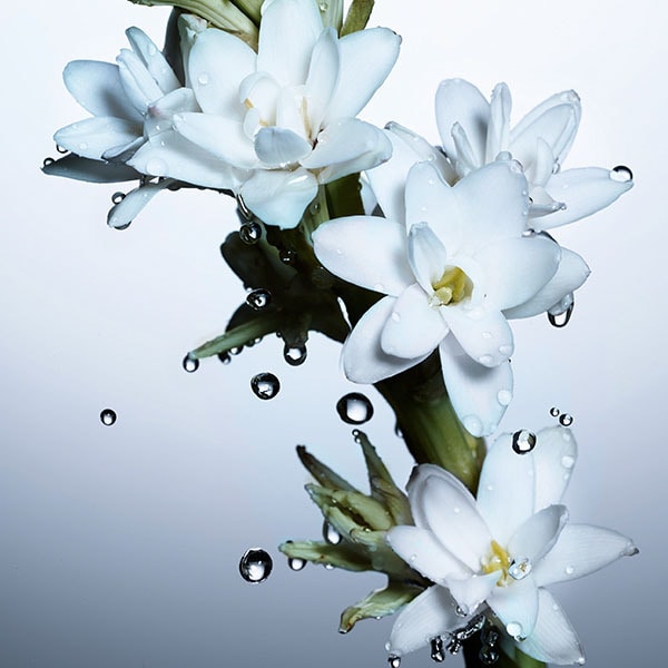 Davidoff Cool Water Woman Collector's Mera EDT 100ml