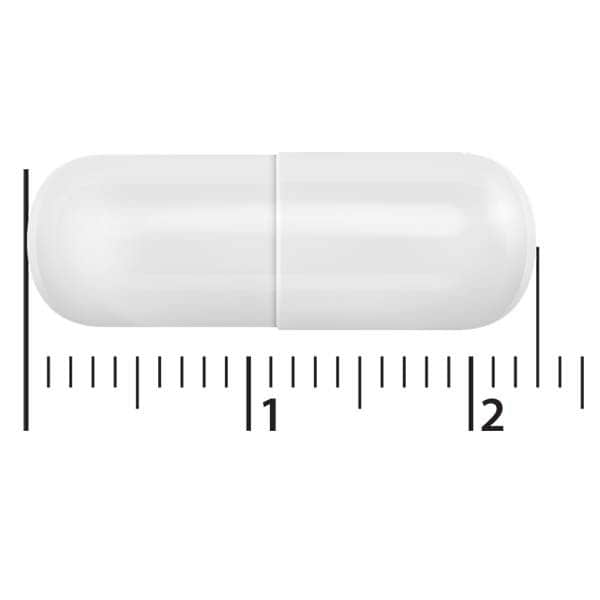 Hunger Buddy by XLS 40 Capsules